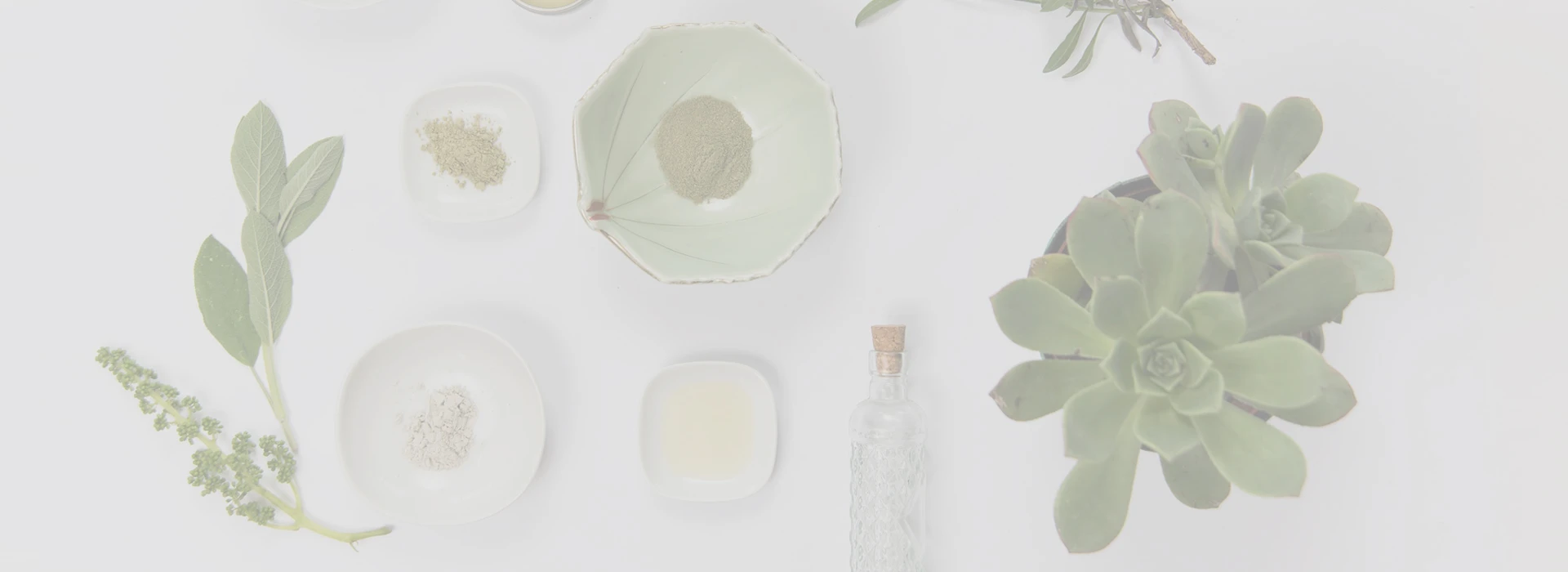 Shaanxi  Heilsa  Náttúran  Iðnaður  Co.,  Ltd